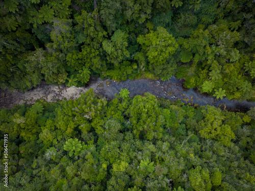 River in the forest seen from the aerial view of a drone