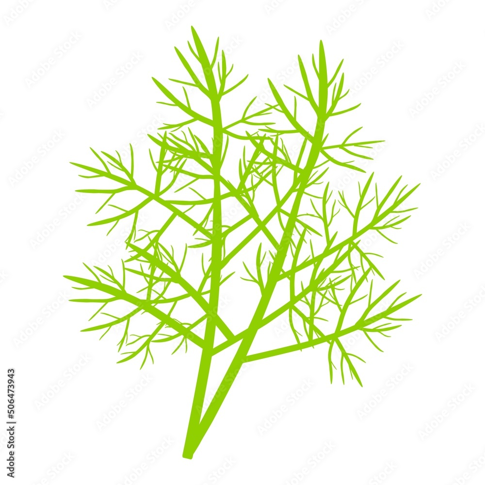 Naklejka premium Dill herb vector icons.