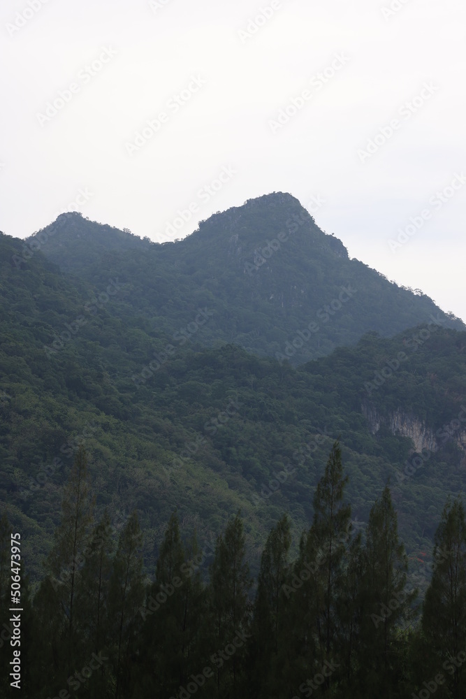 alpine, alps, background, beautiful, blue, environment, fantasy, fog, forest, green, hill, land, landscape, light, morning, mountain, natural, nature, outdoor, peak, scene, scenery, scenic, season, sk alpine, alps, background, beautiful, blue, environment, fantasy, fog, forest, green, hill, land, landscape, light, morning, mountain, natural, nature, outdoor, peak, scene, scenery, scenic, season, sk