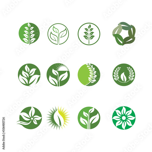 Logos of green Tree leaf ecology nature element vector