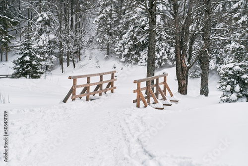 Wooden foot bridge covered in snow with forest in the background