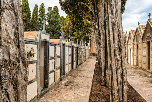 Familiengrabst  tten inmitten von Pinien auf einem Friedhof auf Spaniens Insel Mallorca