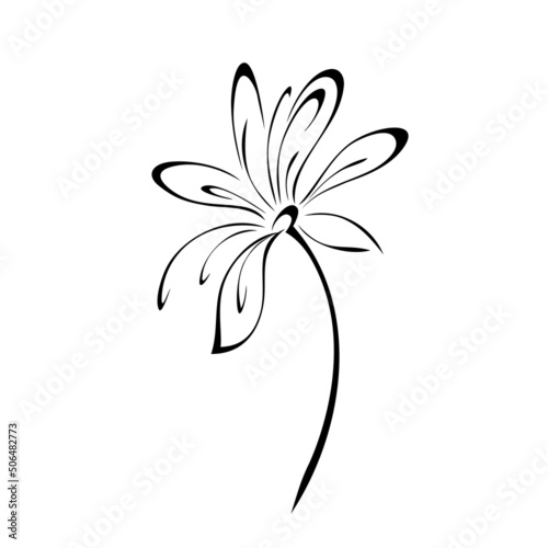 ornament 2328. one stylized blooming flower on a short stalk without leaves. graphic decor