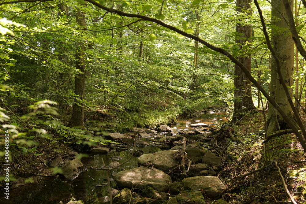 A small stream running through the forest turns it into a cozy oasis. Not far from Wilmington (Delaware, USA). A small stream running through the forest turns it into a cozy oasis. Not far from Wilmington (Delaware, USA).