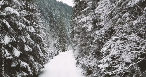 Mountain road through the winter snowy forest. Amazingly beautiful winter forest.  photo