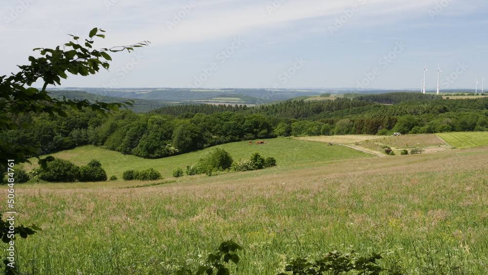 Fototapeta premium Ruwertalblick nahe Osburg