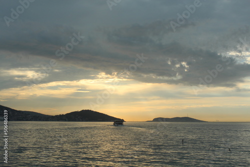 Istanbul Adalar  island landscapes  seagulls  black-winged seagulls soaring from the sky  crow on the tree  seagulls  passenger ferry  sunset Adalar Istanbul Turkey