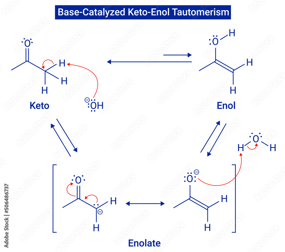 Base - Catalyzed Keto - Enol Tautomerism Stock Vector | Adobe Stock