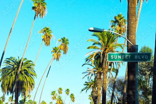 Fototapeta Sunset Boulevard in Beverly Hills