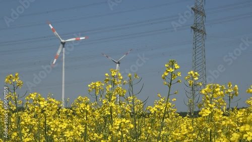 Gelb blühender Raps mit Hochspannungsmast und Windkraftanlage im Hintergrund. Umwelttechnologie
