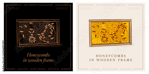 Honeycombs in wooden honey frame, beekeeping, apiculture