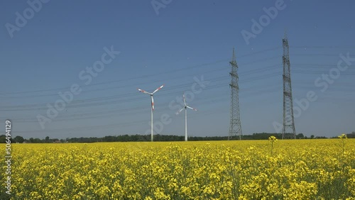 Gelb blühender Raps mit Hochspannungsmasten und Windkraftanlagen im Hintergrund. Nachwachsende Rohstoffe, regenerative Energie.