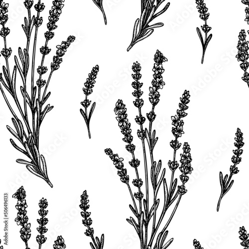 Tea herbs seamless pattern background design. Engraved style. Hand drawn lavender.