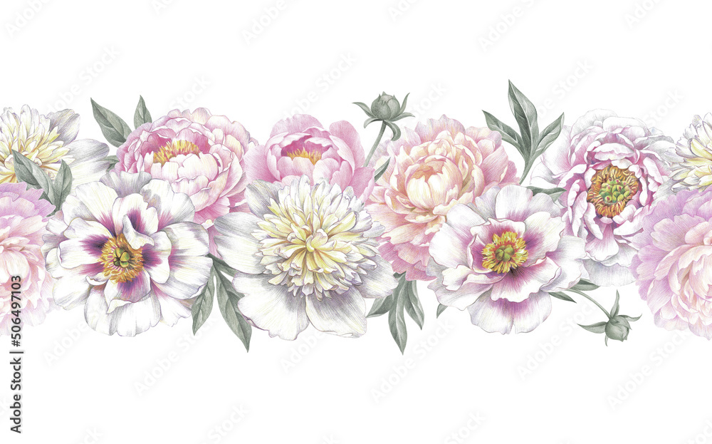 Colored pencil border with peonies on white background. Floral vintage arrangement. Hand drawn botanical illustration for greeting cards, wedding invitation cards and summer backgrounds. 