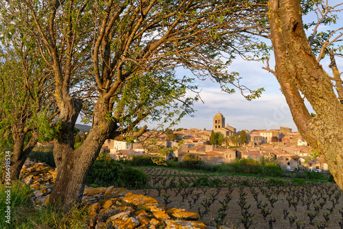 Clocher et amandiers photo