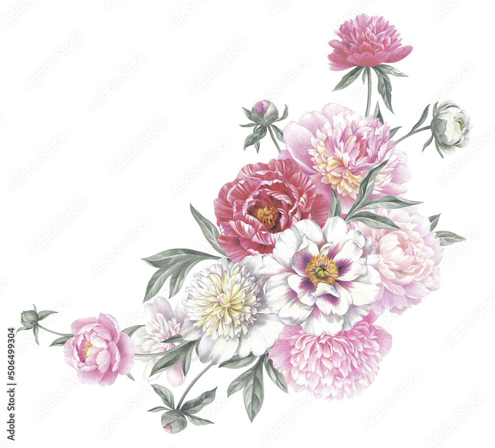 Colored pencil bouquet of peonies. Isolated on white background. Floral vintage arrangement. Hand drawn botanical illustration for greeting cards, wedding invitation cards and summer backgrounds. 