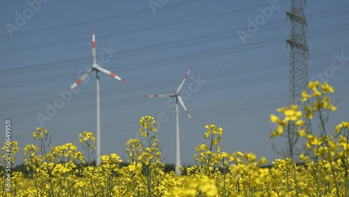 Gelb blühender Raps mit Hochspannungsleitung und Windkraftanlage im Hintergrund. Nachwachsende Rohstoffe, regenerative Energie.
