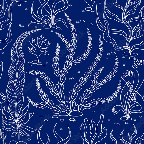 Seamless pattern with seaweed on a blue background. Algae vector illustration in line style. Ideal for the production of wrapping paper, textiles and fabrics.