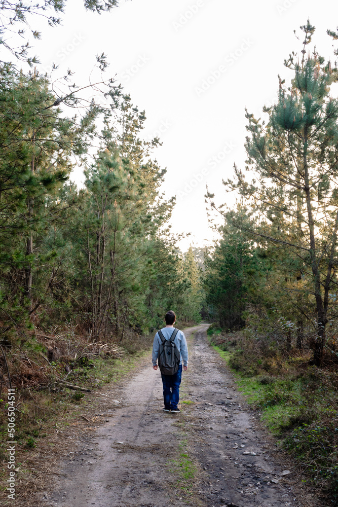 Back view of a man walking on a path through the forest Back view of a man walking on a path through the forest