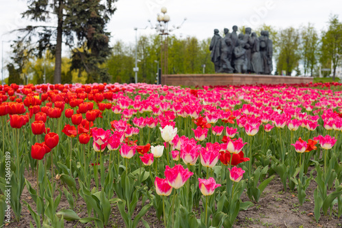 Red tulips, World War monument in the background, selective focus © Richir