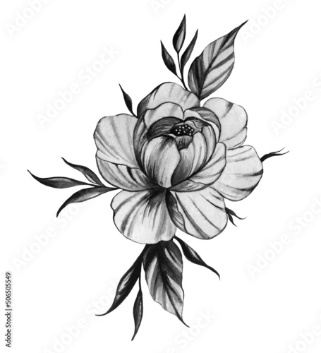 Black and white peony ink tattoo illustration