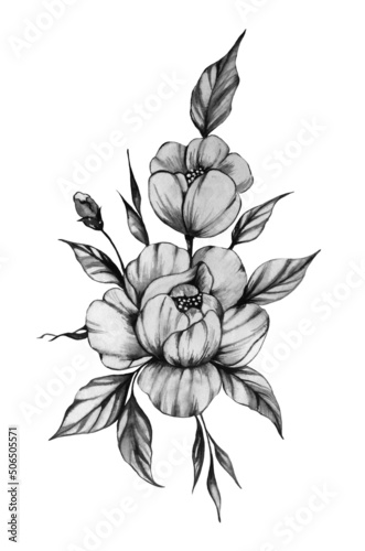 Black and white peonies ink illustration