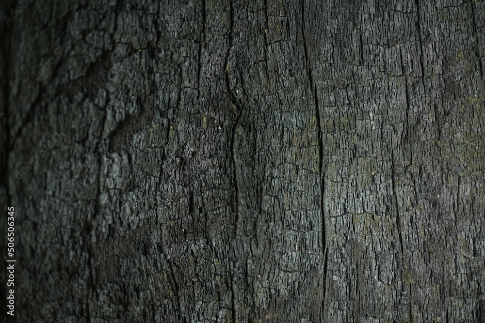 Holz in verkohltem Zustand mit Anzeichen einer Verwitterung Holz in verkohltem Zustand mit Anzeichen einer Verwitterung