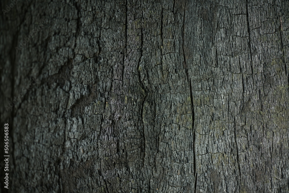 Holz in verkohltem Zustand mit Anzeichen einer Verwitterung Holz in verkohltem Zustand mit Anzeichen einer Verwitterung