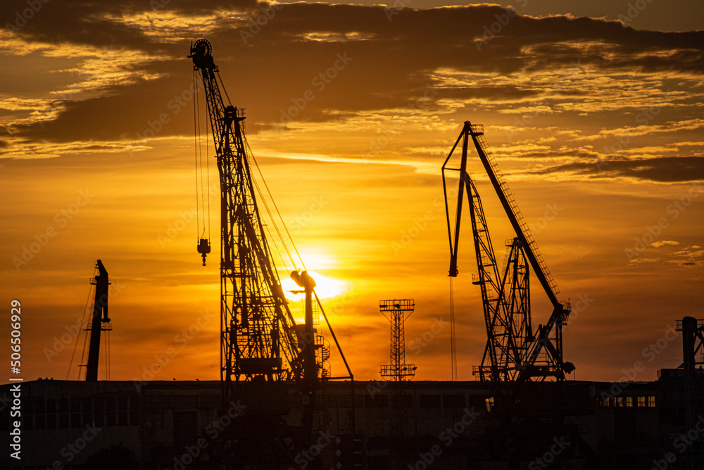 cranes at sunset