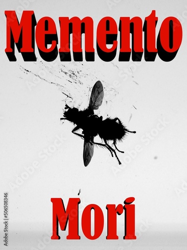 Poster of the dead fly and the red ,,Memento Mori