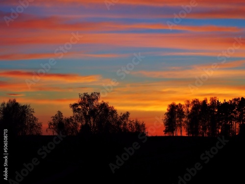 Black forest on the sundown sky with long orange and red clouds