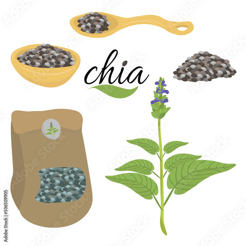 Chia seeds set, healthy superfood in various packages and in the form of a plant