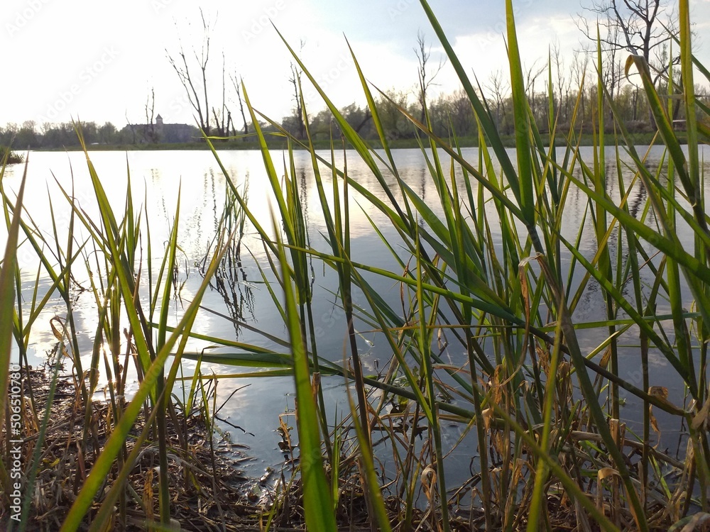 Narew river Narew river