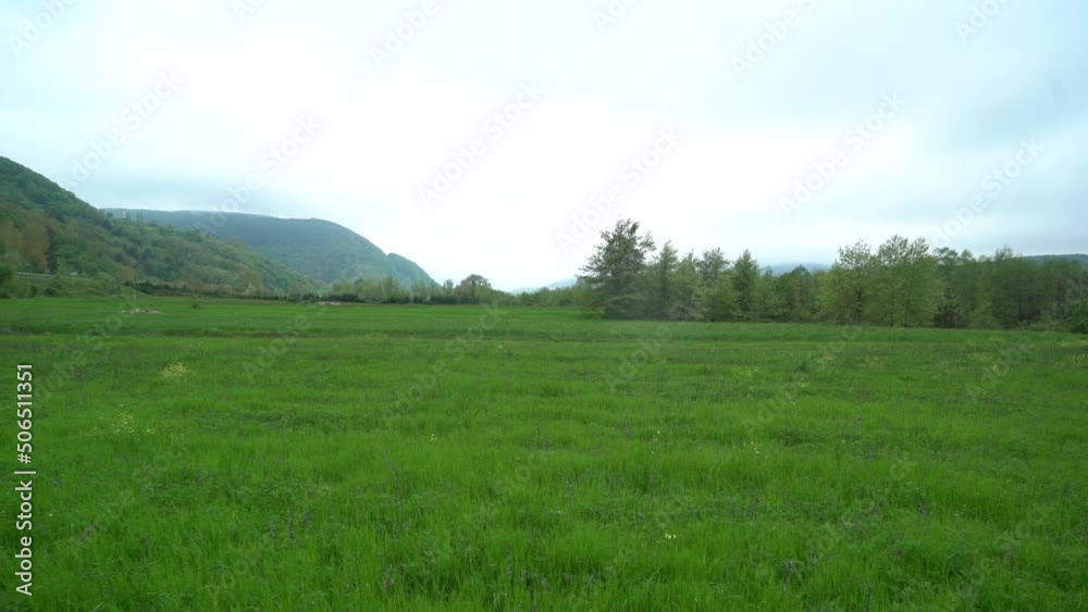 green wheat fields and mountains visible behind it. Turkey black sea region green wheat fields and mountains visible behind it. Turkey black sea region