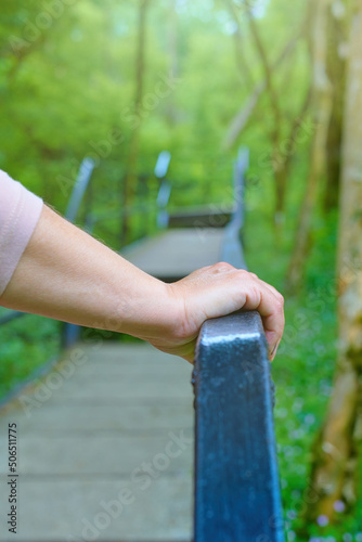 A woman's hand holds on to the handrail of the bridge in the park. Walk in the park yew-boxwood grove.