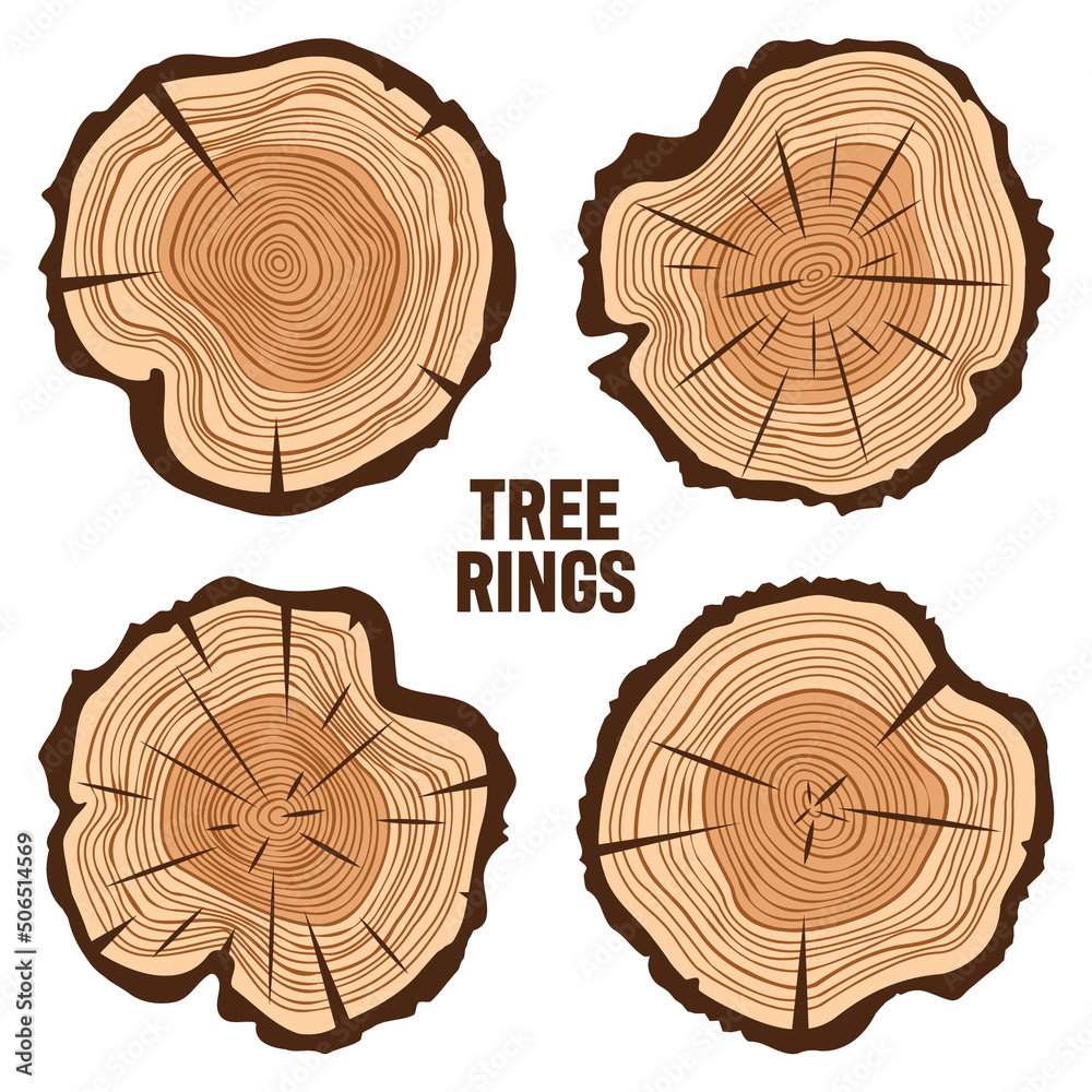 Round tree trunk cuts with cracks, sawn pine or oak slices, lumber. Saw cut timber, wood. Brown wooden texture with tree rings. Hand drawn sketch. Vector illustration