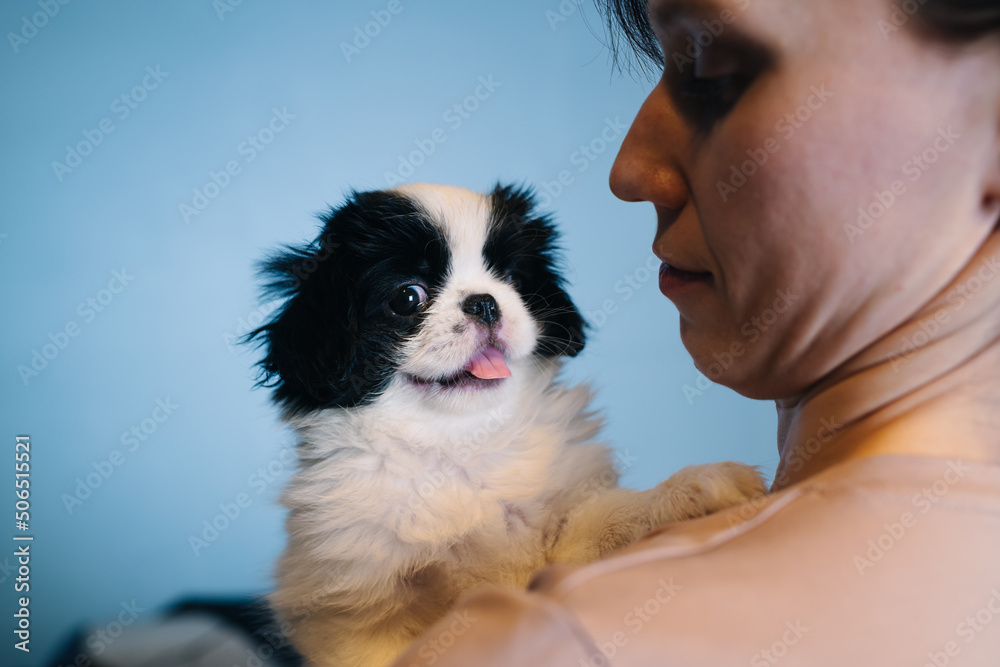 Young woman holding puppy of japanese spaniel dog, studio shot