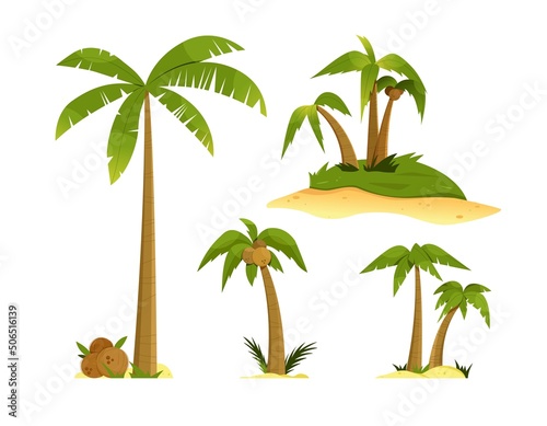 Set with palm trees. Vector illustration with isolated design elements on white background