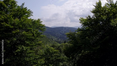 Wallpaper Mural Mountains and forests in the vicinity of Bielsko-Biala. Sunny weather and green trees. The road in the middle of the forest. Torontodigital.ca