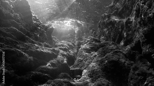 Underwater photography of a reef and landscape that looks like a fairy tale and scenery in rays of light