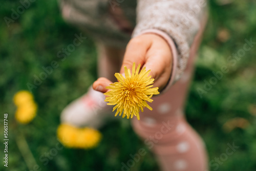 Crop anonymous kid showing yellow dandelions in nature