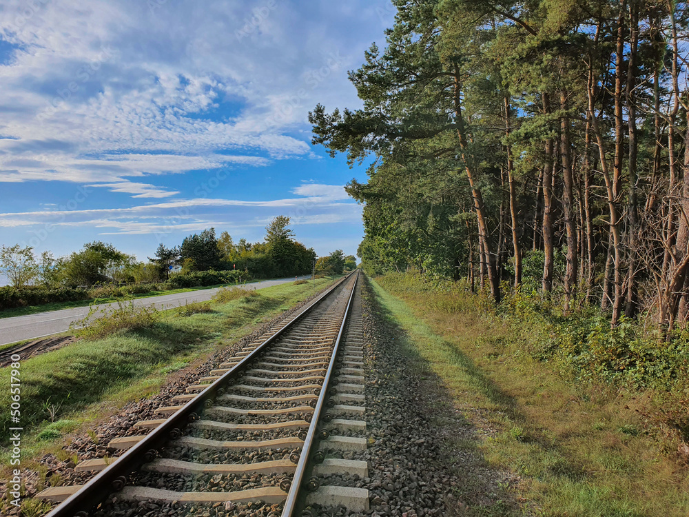 Fototapeta premium railway in the forest