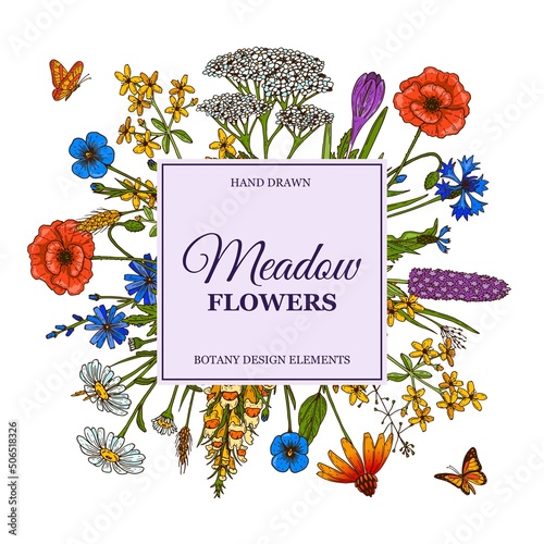 Hand drawn square summer wildflowers frame with butterflies. Vector illustration