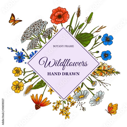 Hand drawn square summer wildflowers frame with butterflies. Vector illustration