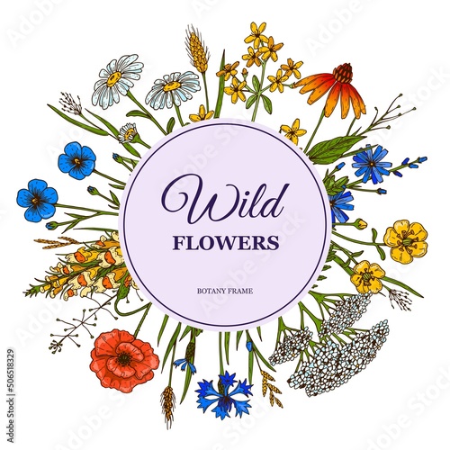 Hand drawn circle summer wildflowers frame. Vector illustration