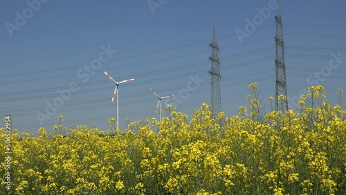 Gelb blühender Raps mit Hochspannungsmast und Windkraftanlage im Hintergrund. Nachwachsende Rohstoffe, regenerative Energie.
