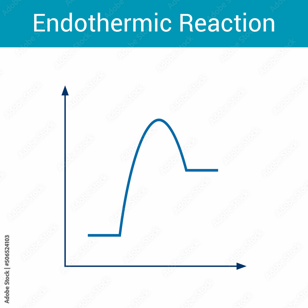 Endothermic reactions graphs diagram in chemistry vector illustration