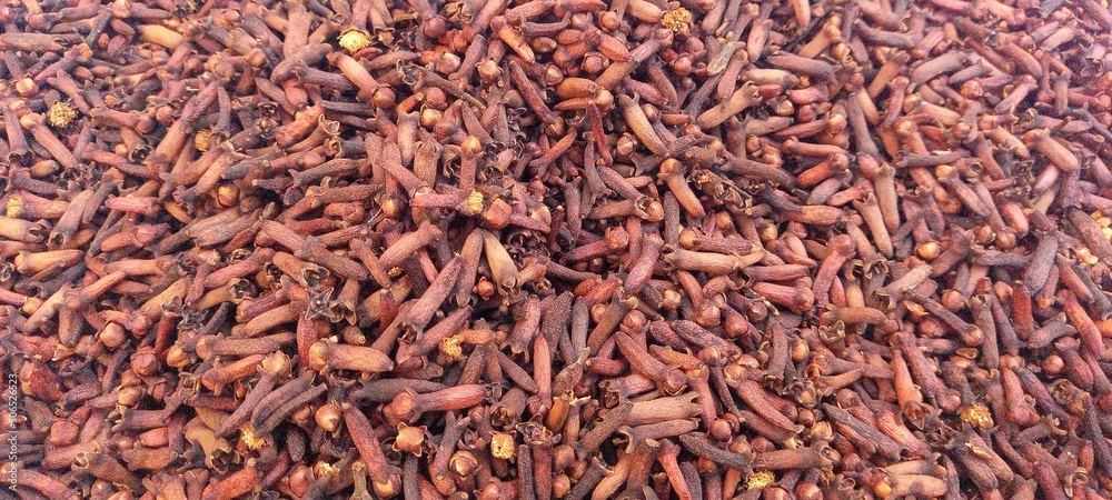 Cloves (Syzygium aromaticum) come from the Myrtaceae tree family

