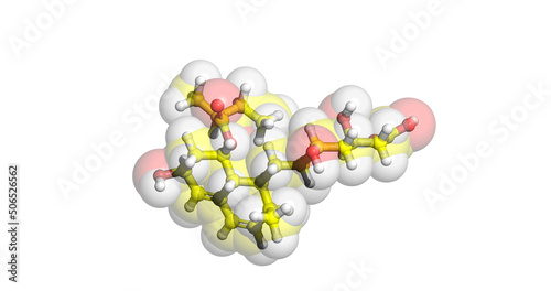 Pravastatin 3D molecule photo