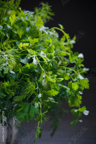 dill and parsley in a cup on a gray background